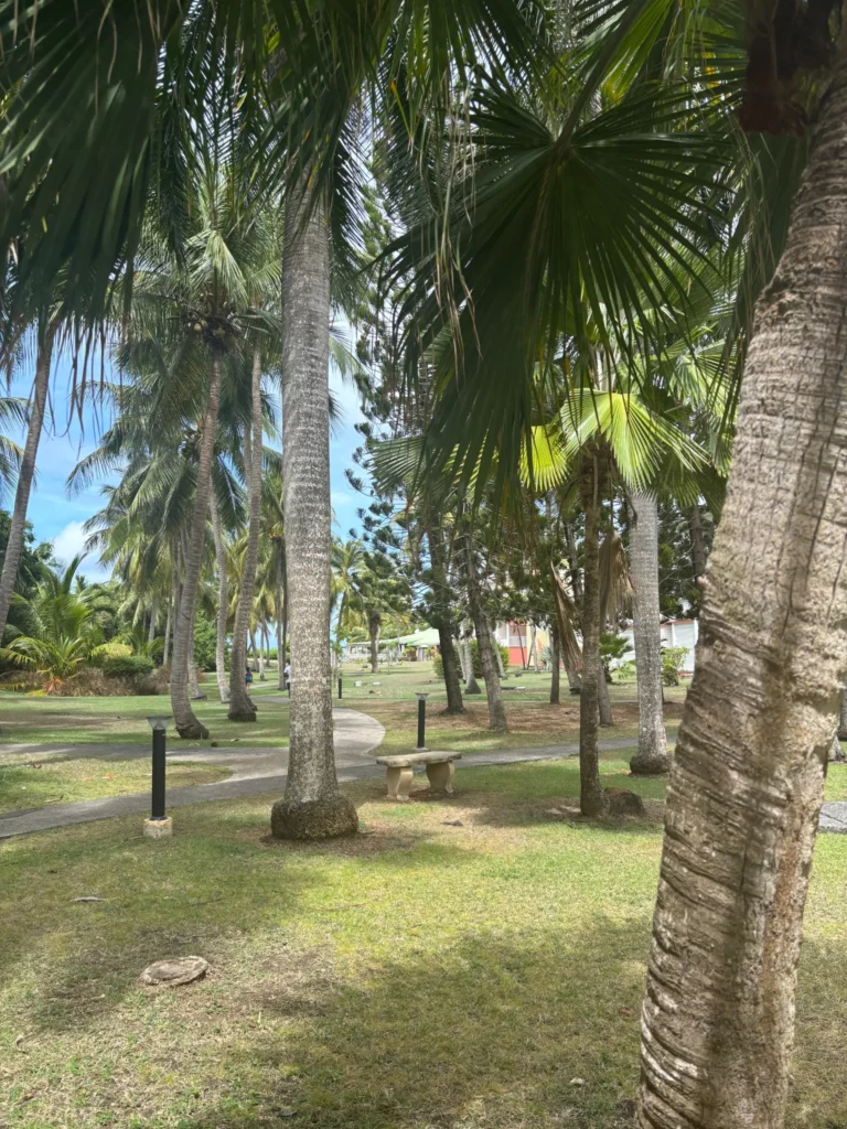 sejour-en-guadeloupe-plage-privee-location